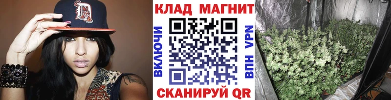 Где купить наркотики Пыталово Каннабис МЕФ Альфа ПВП ГАШИШ