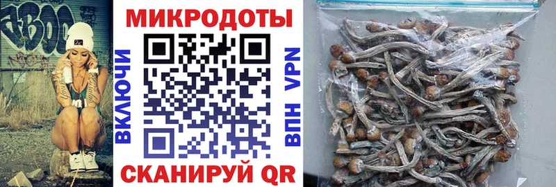 это официальный сайт  Пыталово  Псилоцибиновые грибы Psilocybe 